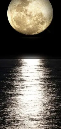This live wallpaper showcases a full moon rising above the serene waters of an ocean, tumblr-style