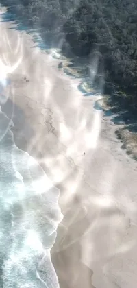 This stunning live wallpaper brings the tranquility of a tropical beach to your phone screen