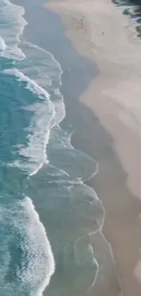 This phone live wallpaper depicts a magnificent view of a tranquil beach with an enormous body of water lapping on the sandy shore