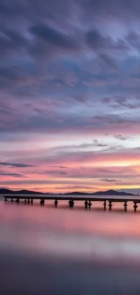 This stunning phone live wallpaper features a group standing at the end of a pier on Orkney Islands