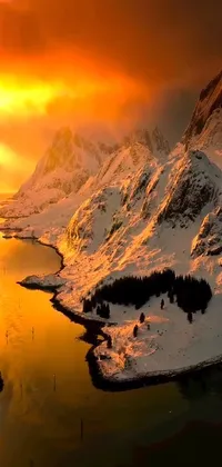 This stunning live wallpaper captures the essence of Norway's natural beauty and romanticism