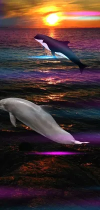 This phone live wallpaper showcases a stunning, lifelike image of a dolphin that jumps out of the ocean waters against a picturesque sunset