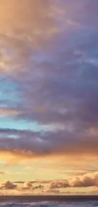This phone live wallpaper depicts a man surfing on a sandy beach and features a panoramic view of the sky, including a beautiful New Mexico sunset