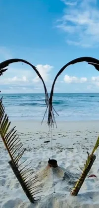 This stunning live phone wallpaper features a heart-shaped design crafted from lush palm leaves placed against a serene beach background