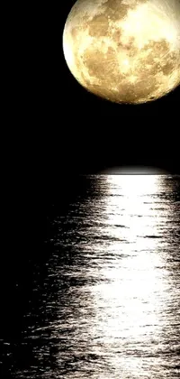 This stunning live wallpaper for your phone showcases a scene of a tranquil body of water with a full moon rising above it