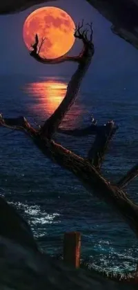 This phone live wallpaper features a stunning and surreal scene of a full moon rising over a still body of water