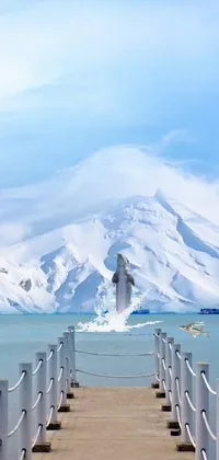 Dolphin jumps out of lake Live Wallpaper