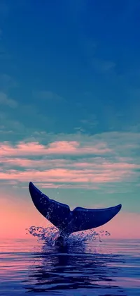 Decorate your phone's screen with this stunning minimalist live wallpaper featuring a captivating image of a whale tail emerging from the blue and pink hues of the sunlit ocean