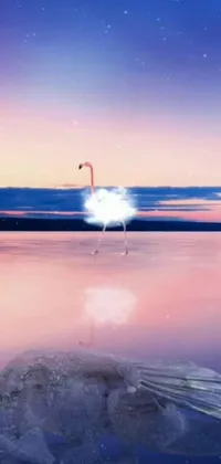 Transform your phone with a serene and peaceful live wallpaper featuring a beautiful digital art depiction of a swan floating on a calm body of water