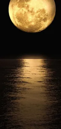 This live wallpaper showcases a full moon against a body of water, with a golden hue emanating from the moon
