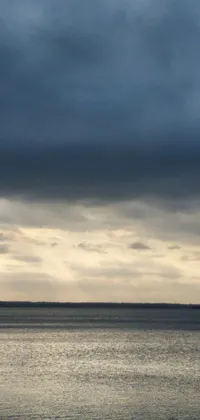 This phone live wallpaper showcases a serene body of water under an overcast sky at dawn