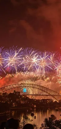 Add some excitement to your phone with this incredible live wallpaper! It features a stunning fireworks display with a large group of people gathered to join in the fun