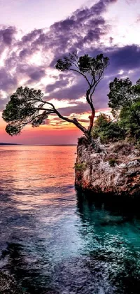 This awe-inspiring phone live wallpaper showcases a serene ocean with a beautiful tree on top of a rock
