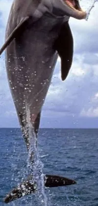This phone live wallpaper features a magnificent dolphin leaping out of the water with its mouth agape