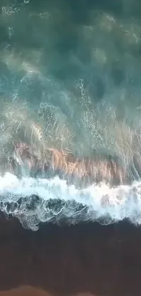 This live wallpaper features a figure surfing along beach waves, brought to life by an oil painting style