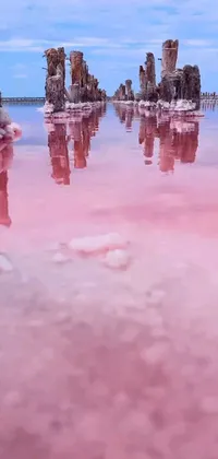 This phone live wallpaper features a breathtaking scene of a group of individuals standing on top of a serene pink lake