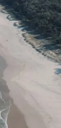 This phone live wallpaper showcases a stunning flying shot of a body of water next to a sandy beach in Gold Coast, Australia