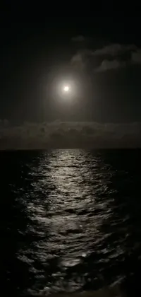 This stunning phone live wallpaper features a mesmerizing full moon shining bright over the calm, dark waves of the ocean