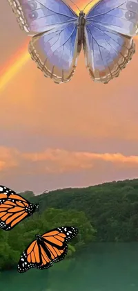 This stunning phone live wallpaper features two beautiful butterflies gracefully fluttering over a serene body of water