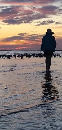 This phone live wallpaper showcases a breathtaking sunset at the beach featuring seagulls and other birds