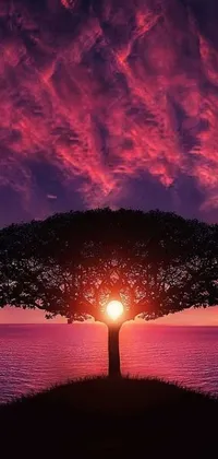 This phone live wallpaper features a breathtaking scene - a large tree on a lush green field with a red-pink sunset rising from the ocean