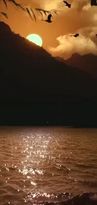 This phone live wallpaper showcases a group of birds flying over a peaceful body of water with a big black sun glowing in the background