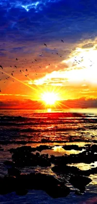 This phone live wallpaper displays a serene and romantic scene of birds in flight over a body of water against an HDR photo of a beach sunset background
