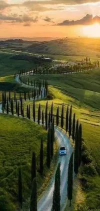 This phone live wallpaper depicts a car driving down a rustic country road at sunset, with a stunning image of cypresses and hills in the background