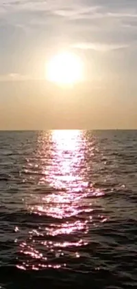 This phone live wallpaper is a stunning depiction of a sunset over a body of water