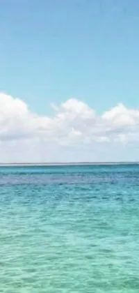 Experience the exhilaration of riding a surfboard on top of a mighty wave in Okinawa Japan with this panoramic and widescreen live wallpaper