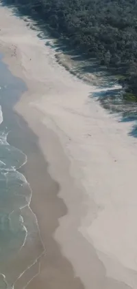 Get mesmerized by the phone live wallpaper featuring an exquisite sandy beach nestled against a fantastic blue sea