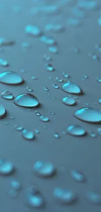 Bring nature to your phone with our stunning live wallpaper! This blue and grey digital art features a realistic 3D render of water droplets on a surface, ideal for Crypto lovers
