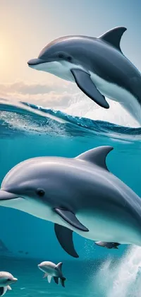 Water Daytime Photograph Live Wallpaper