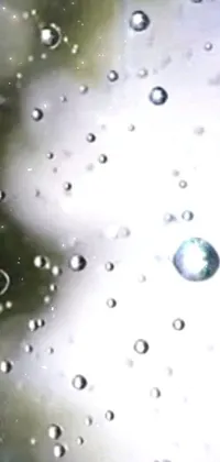 Water Dew Drop Live Wallpaper