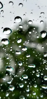 Water Dew Drop Live Wallpaper