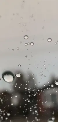 Water Dew Drop Live Wallpaper