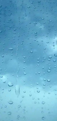 Get lost in the serene beauty of a rainy day with this stunning phone live wallpaper
