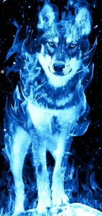 This incredible phone live wallpaper features a majestic blue fire dog standing on a rock in front of a glowing snow backdrop with a blue, silver, and black theme