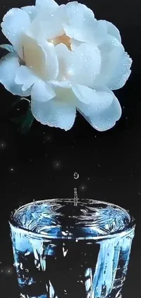 This phone live wallpaper showcases a stunning image of a white flower floating in a glass of water, crafted to look like it's made from sapphire stone