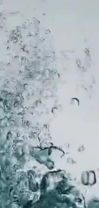 Get mesmerized by the stunning live wallpaper featuring bubbles floating in water with a Reddit and Youtube screenshot inside some of them
