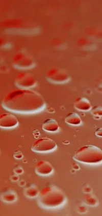 This live wallpaper for phones boasts a stunning close-up view of water droplets on a surface
