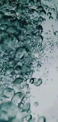 Water Drop Moisture Live Wallpaper