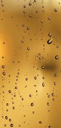 Get close to nature with this stunning phone live wallpaper featuring water droplets on a window