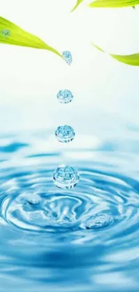 Water Droplet Drop Live Wallpaper