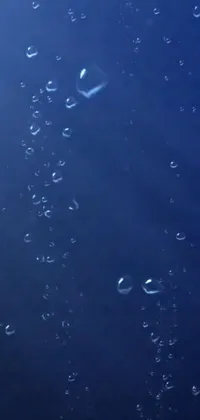 Get lost in the calming atmosphere of a beautiful Live Wallpaper featuring a group of bubbles floating on a body of water