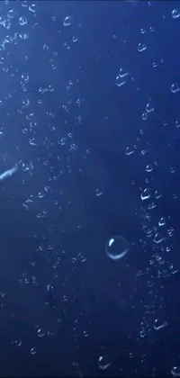This phone live wallpaper features mesmerizing bubbles floating in deep blue oceans with lightning strikes and rainy weather