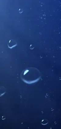 This stunning phone live wallpaper showcases a beautiful deep blue ocean with raindrops adding to its mesmerizing effect