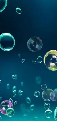 Add a playful and lively touch to your phone with this lively live wallpaper featuring an array of colorful bubbles floating in the air against a serene blue background