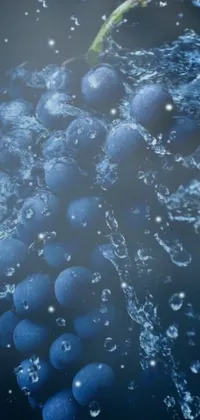 This stunning phone live wallpaper showcases a bunch of blue grapes being sprinkled with water, creating a serene and surreal atmosphere