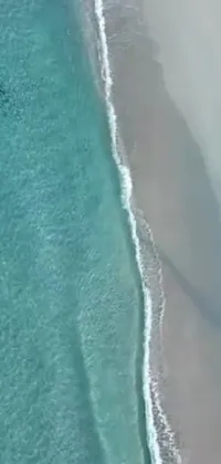This stunning Live Wallpaper captures the serene beauty of a beach with a group of people standing on it